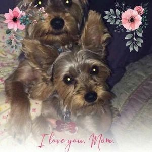 Meet your Posher, Lillian